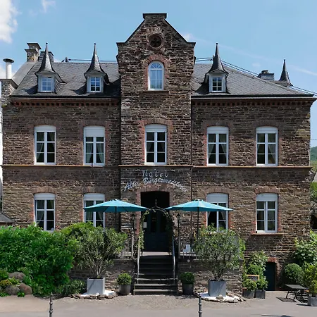 Alte Buergermeisterei ホテル